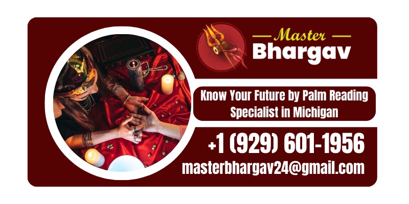 Know Your Future by Palm Reading Specialist in Michigan